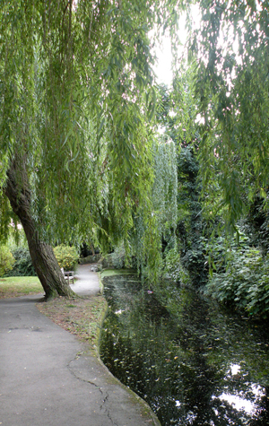 london hidden park pond2